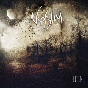 nephylim-torn_cover-480