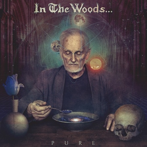 in-the-woods-cover