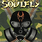 Soulfly - The Song Remains Insane 