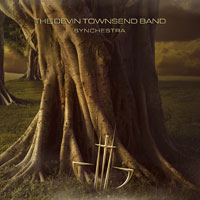 Devin Townsend CD 

image