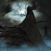 Darkblack – Midnight Wraith