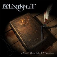 mindsplit