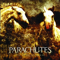 parachutes - theworkinghorse