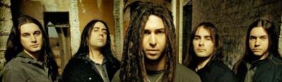 Shadows Fall