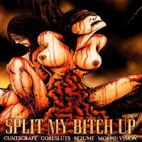 Cuntscrape / Goresluts / Rezume / Morbid Vision - Split My Bitch Up