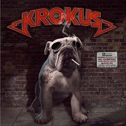 Krokus 