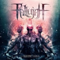 Fallujah