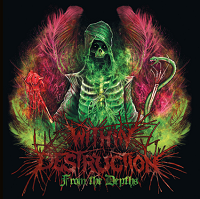 (Within Destruction