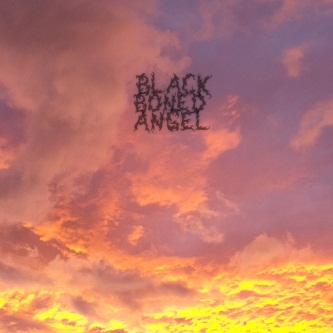  Black Boned Angel 