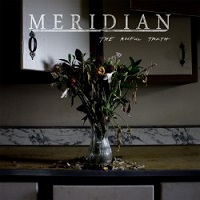 Meridian 