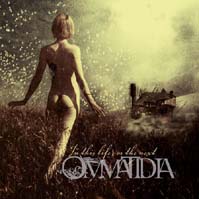 Ommatidia 