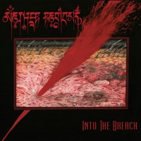 Nether Regions - Into The Breach