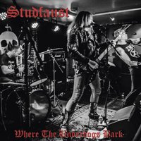 Studfaust – Where The Underdogs Bark