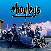 The Hayleys – Rotan Pesä